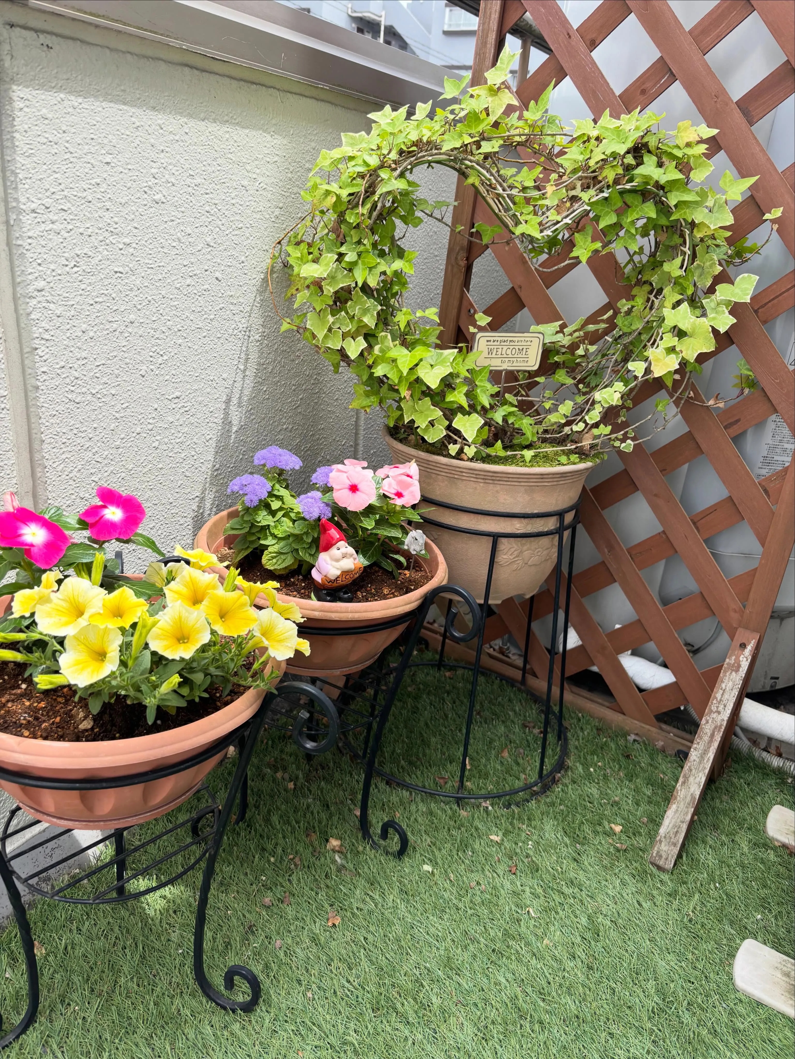 寒い期間おやすみしていた、お店の入り口にお花🌼🌸💐を植えまし...